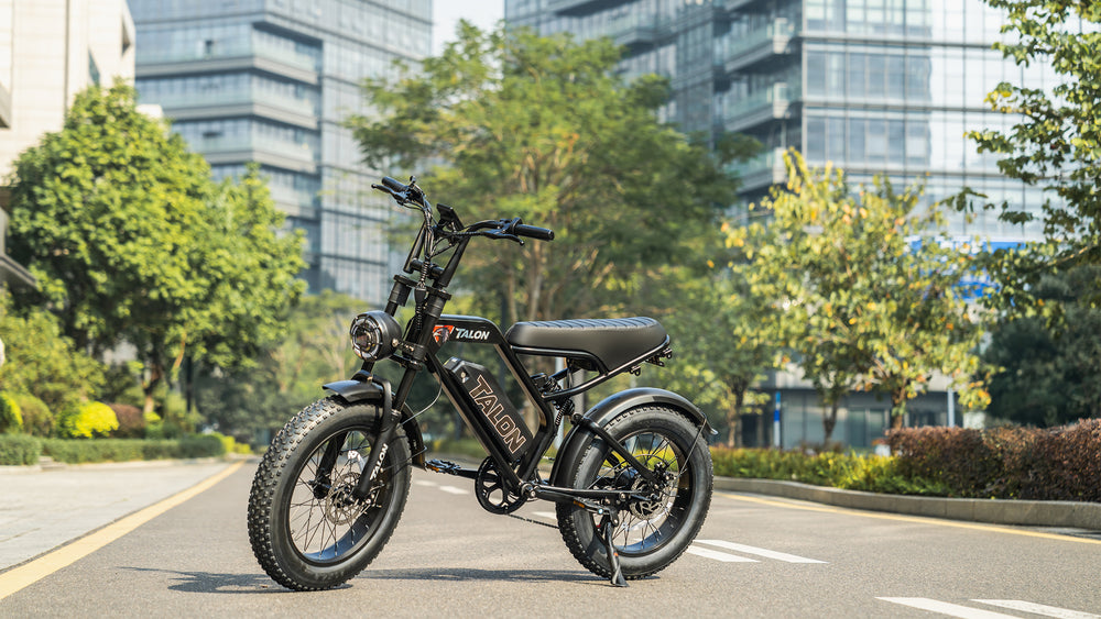 electricbikeexplorer.com