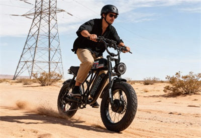 Talon Fat Tire E bike