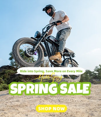 Talon E-Bike Spring Sale T787
