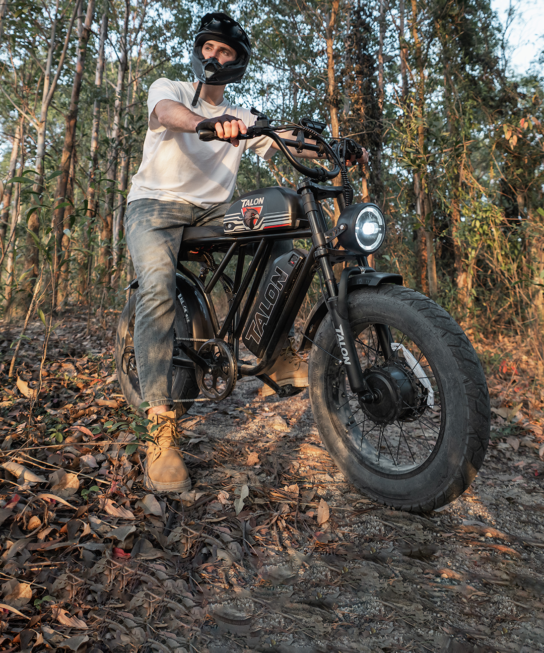 Talon T787 dual motor dual battery ebike | Talon