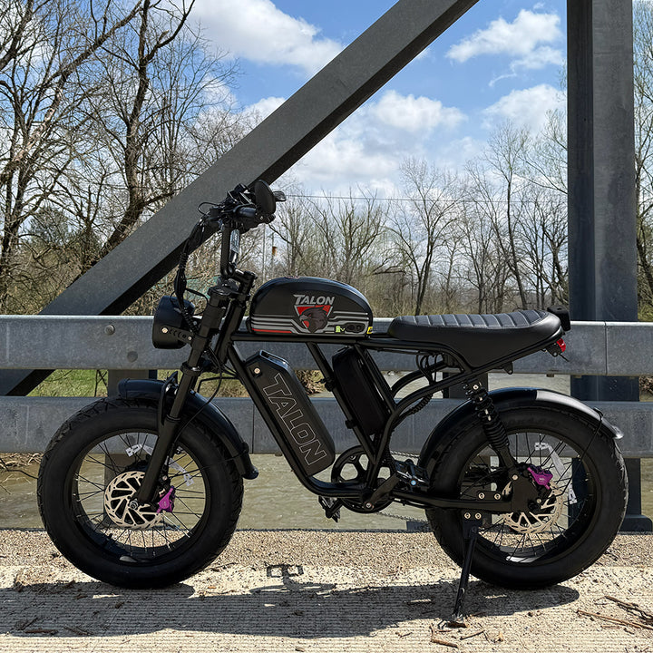 Talon T787 Dual Motor E-Bike