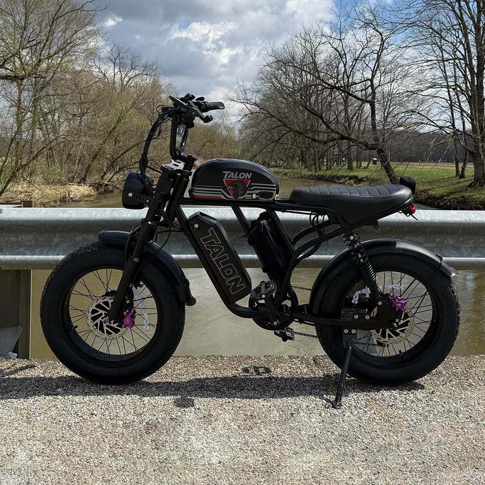 Talon T787 Dual Motor E-Bike