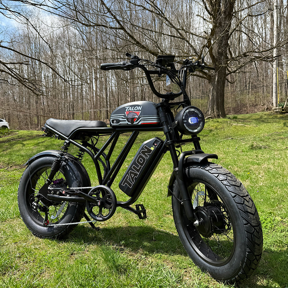 Talon T787 Dual Motor E-Bike