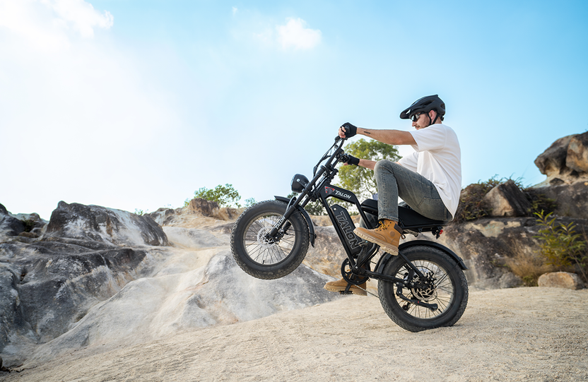 TALON Electric Bike T757- Talon