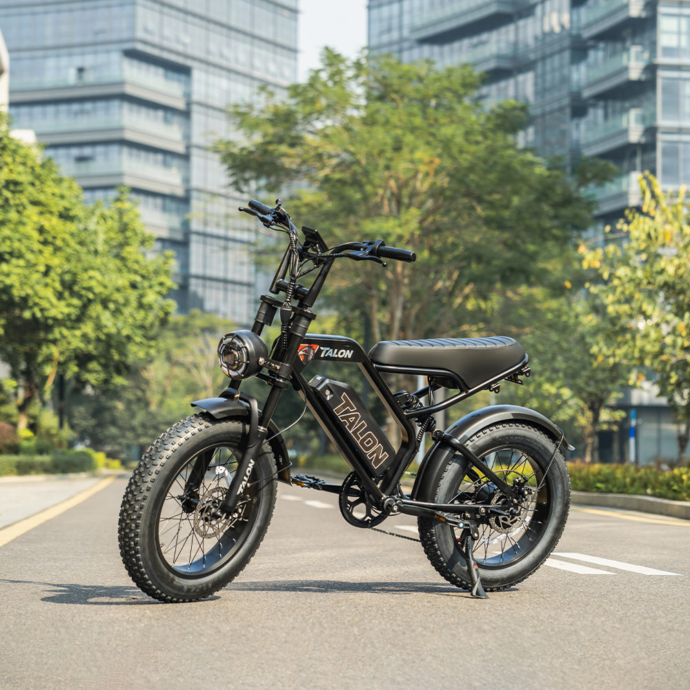 TALON Electric Bike T757