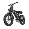 TALON T757 Fat Tire E-Bike