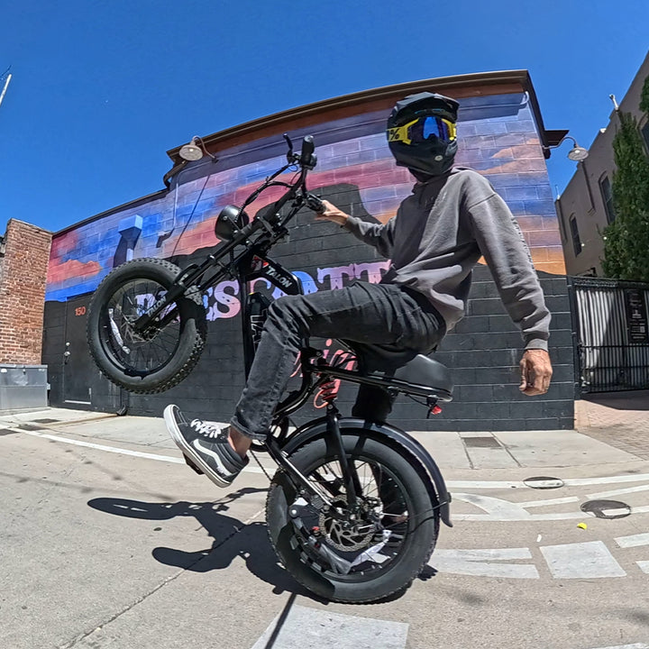 TALON Electric Bike T757