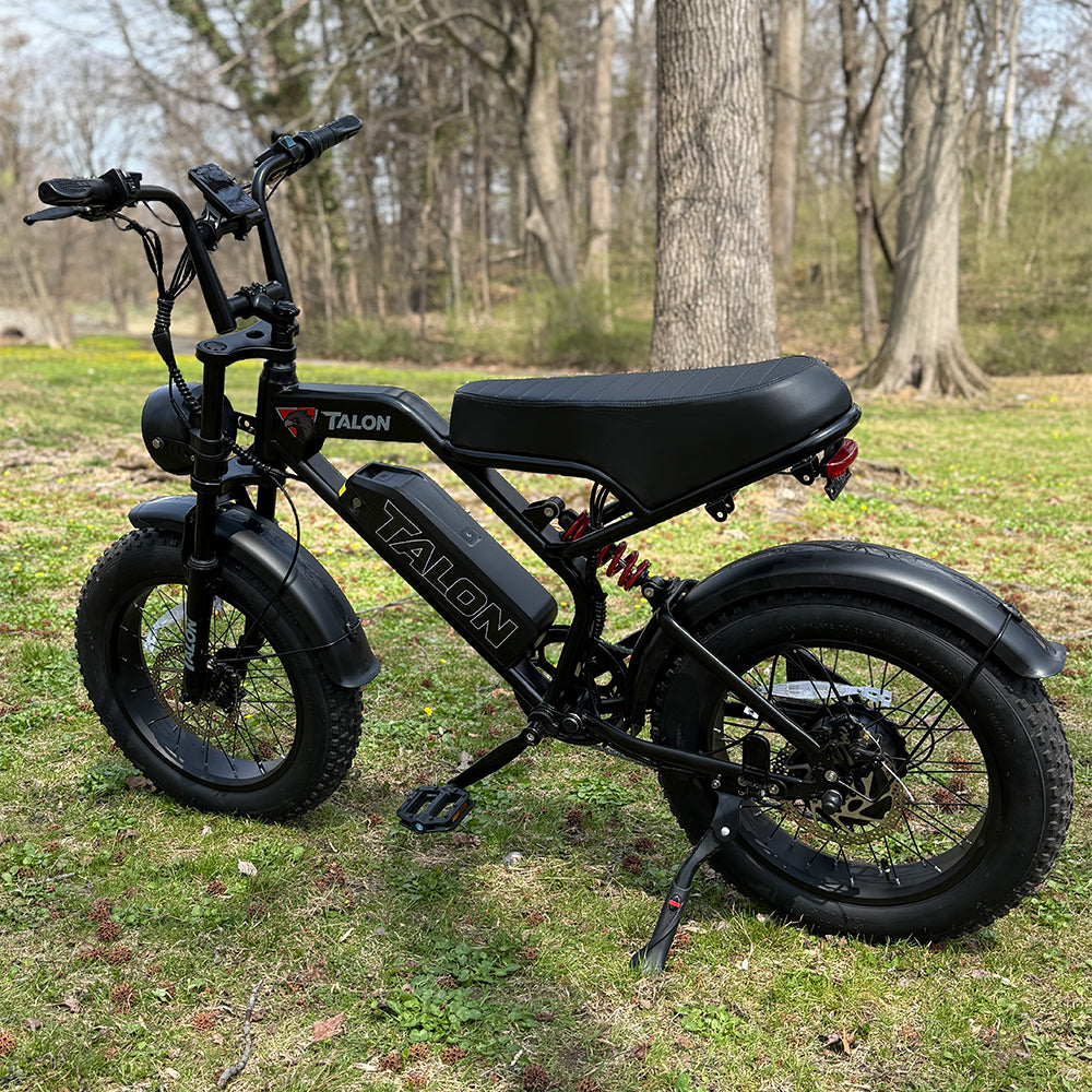 TALON T757 Fat Tire EBike