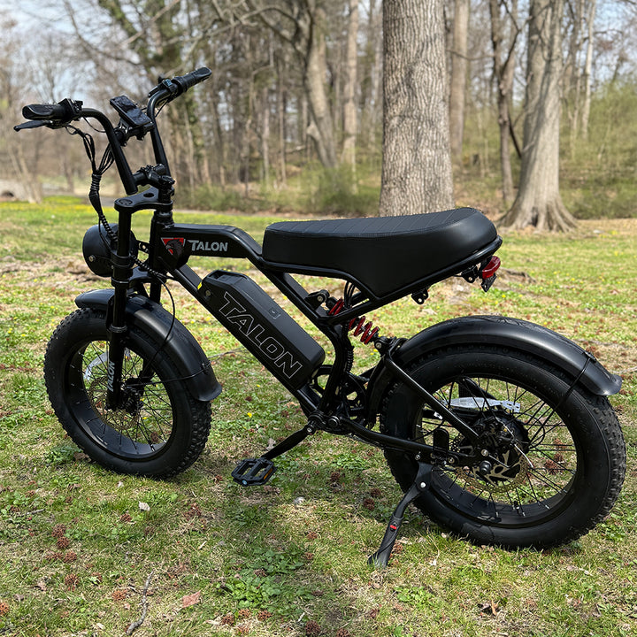 TALON T757 Fat Tire EBike