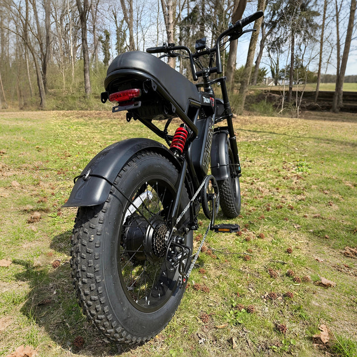 TALON T757 Fat Tire EBike