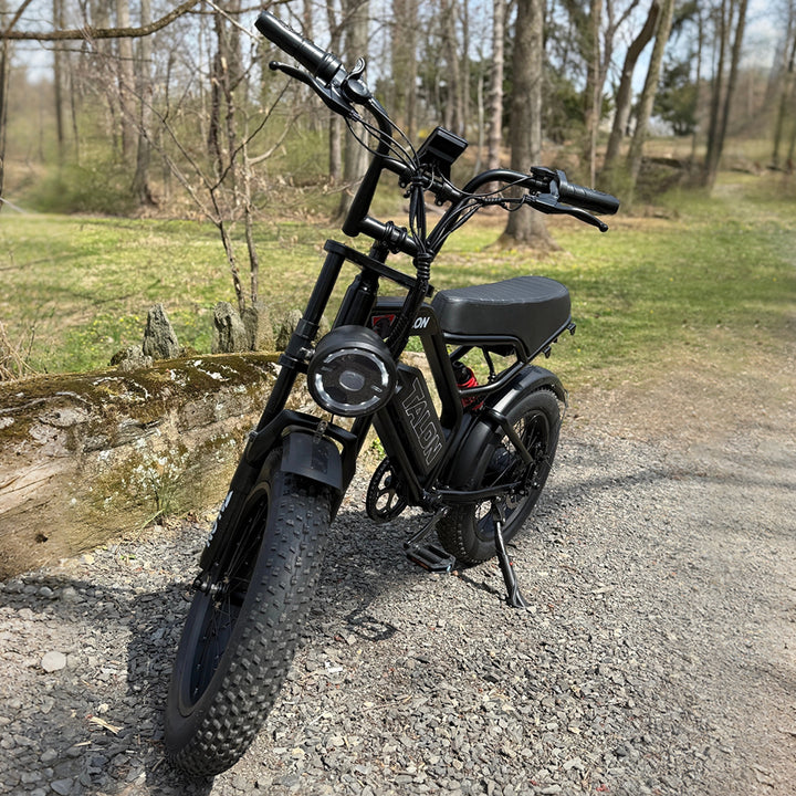 TALON T757 Fat Tire EBike