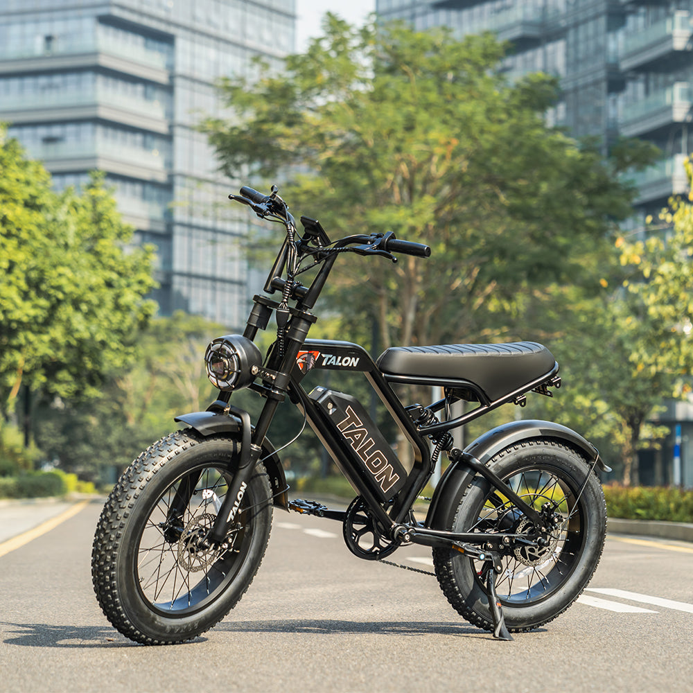 TALON T757 Fat Tire E-Bike