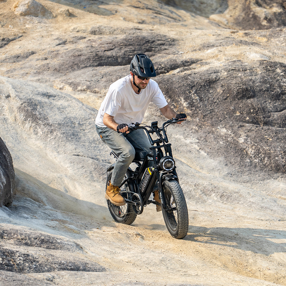 TALON T757 Fat Tire E-Bike