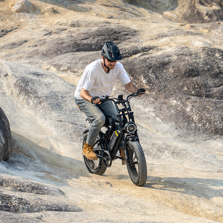 TALON T757 Fat Tire E-Bike