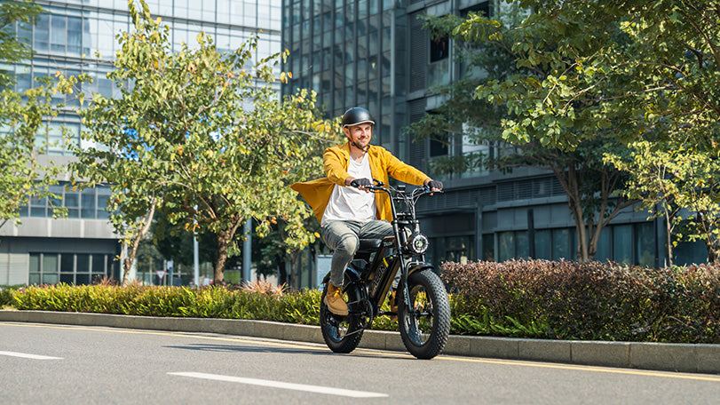 TALON T757 Fat Tire EBike