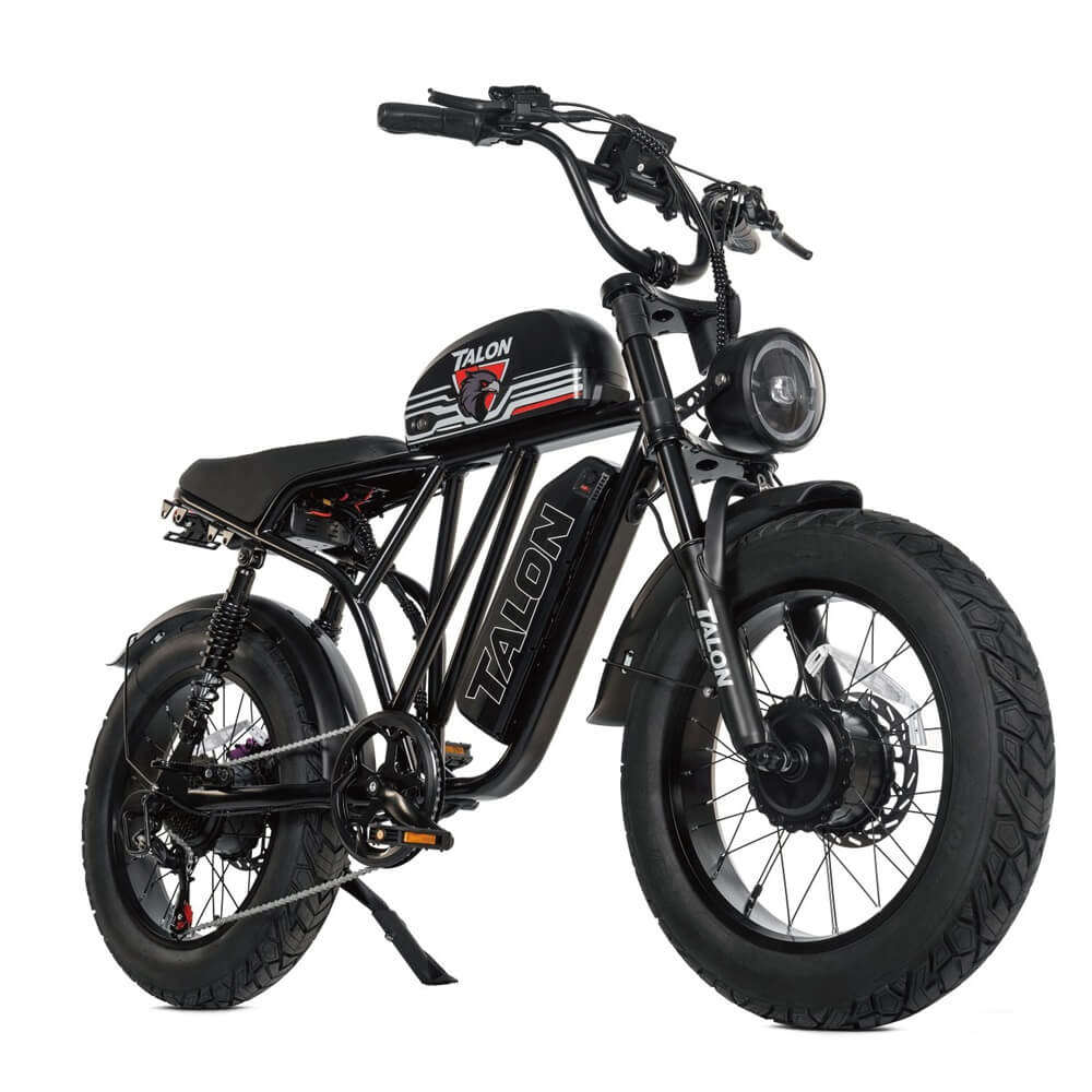 talon t787 dual motors & dual batteries ebike