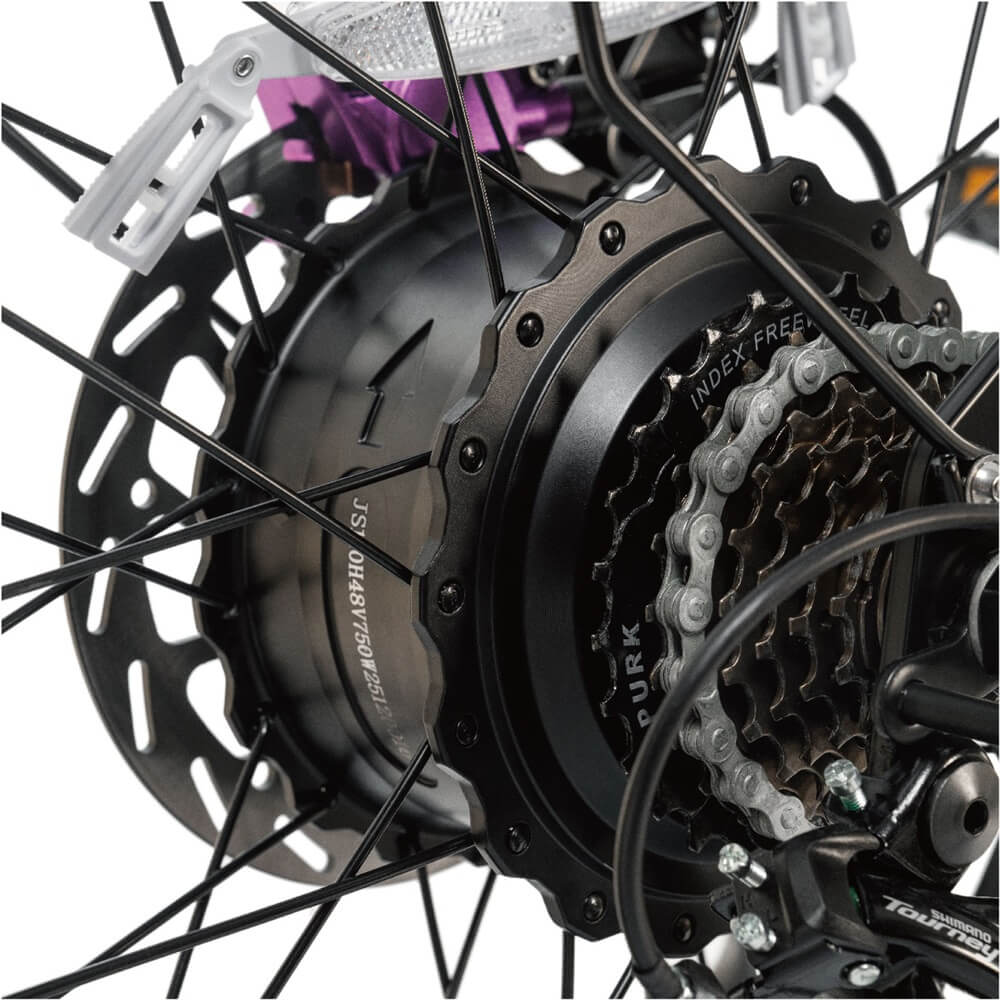 Talon T787 motor peak 1500W+1500W