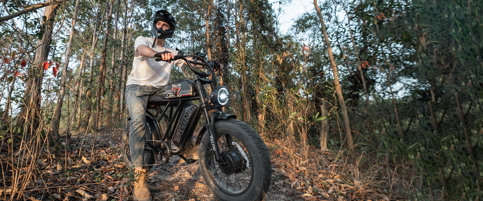 Talon T787 dual motor dual battery ebike | Talon