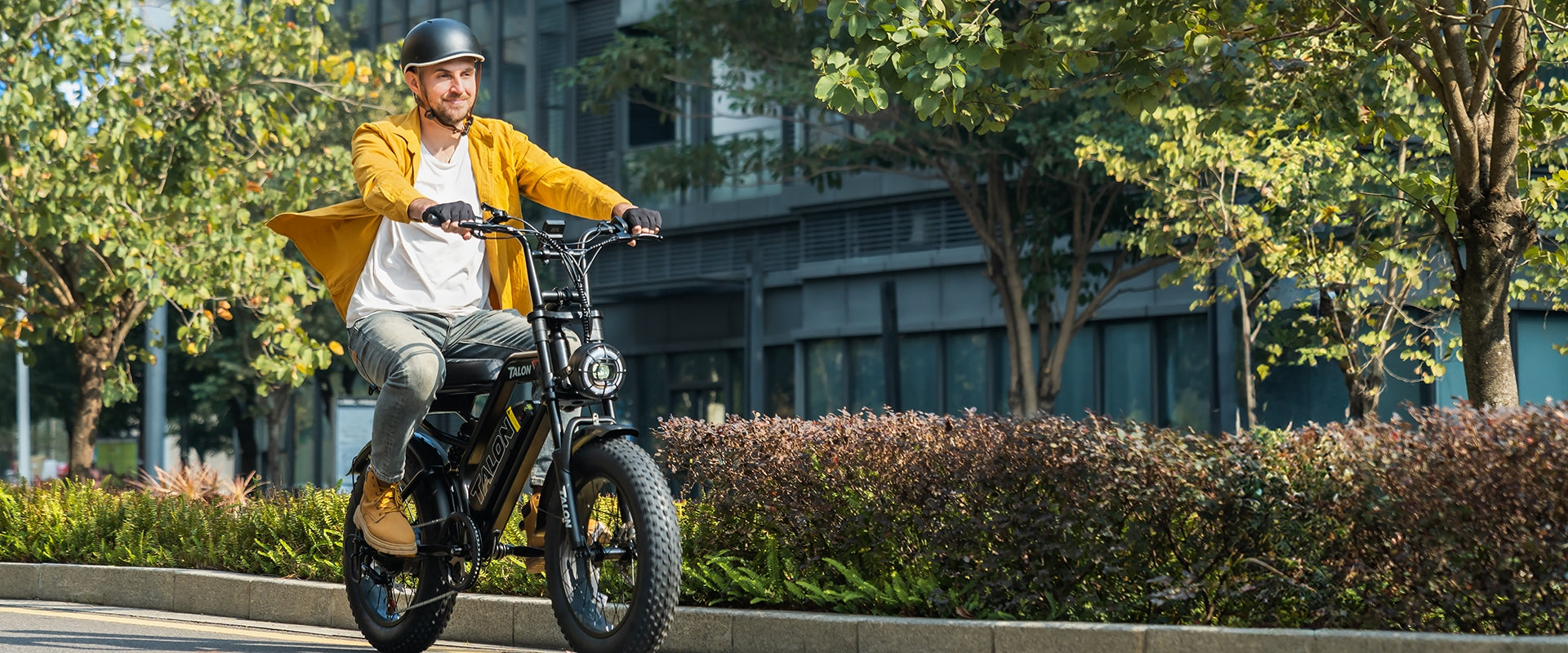 Talon T757 Fat Tire Cargo EBike