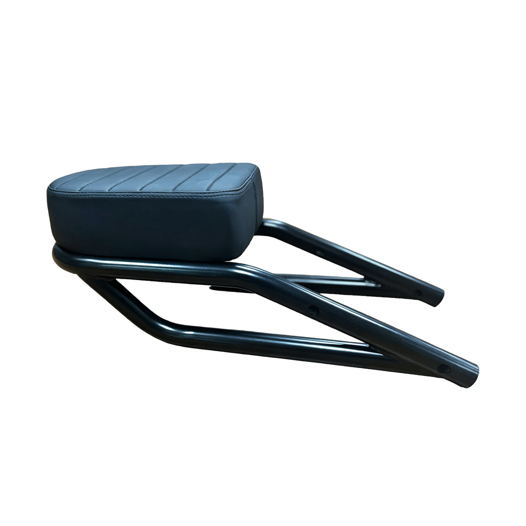 Talon Ebike Rear Rack With Cushion Seat