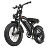 TALON T757 Fat Tire E-Bike