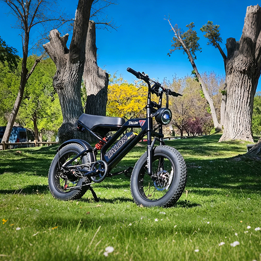 Talon Ebike T757 Rider show