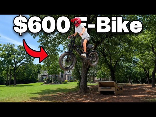 This $600 E-Bike Durability Test Surprised Me... (Talon T757)