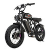 Talon T787 Dual Motors & Dual Batteries Ebike