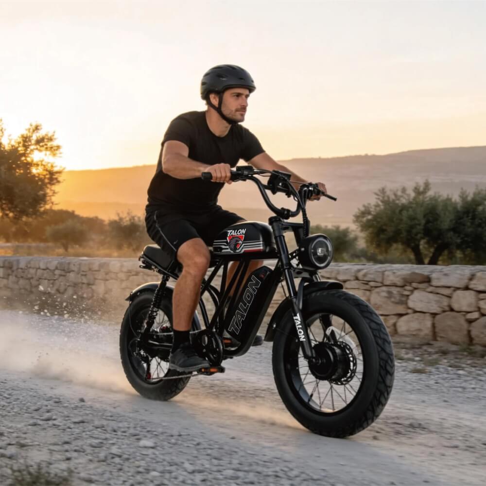 talon t787 dual motors and dual batteries ebike