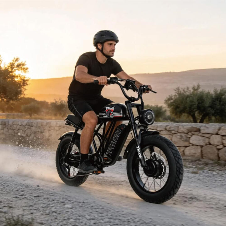 talon t787 dual motors and dual batteries ebike