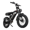 TALON T757 Fat Tire E-Bike