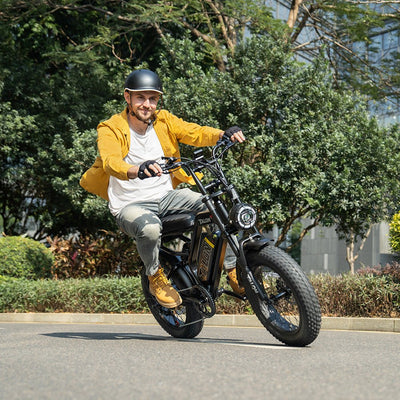 TALON T757 Fat Tire E-Bike