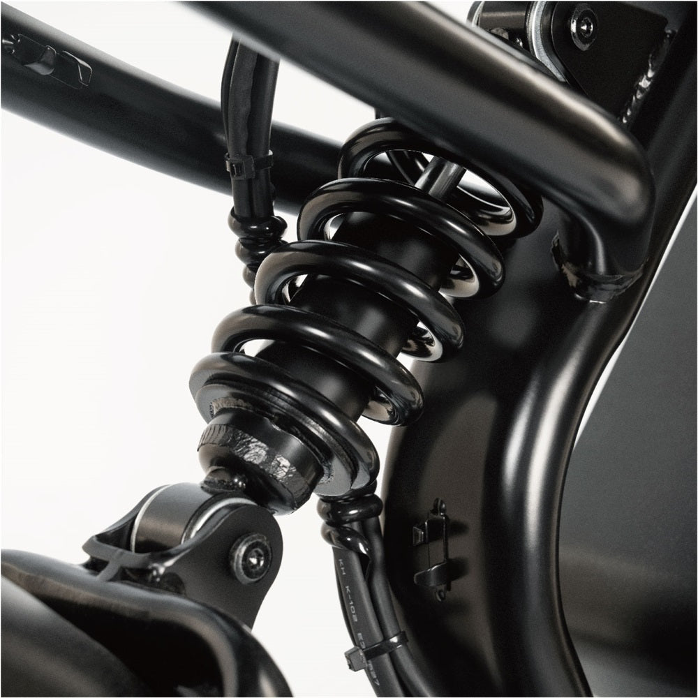 TALON T757 Fat Tire E - Bike - Talon