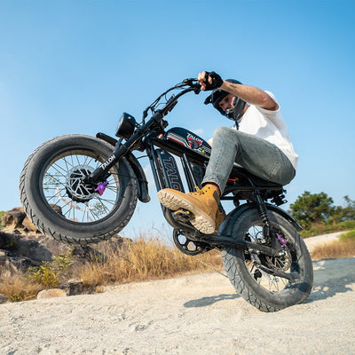 Talon T787 Dual Motor E-Bike