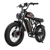 Talon T787 Dual Motor E-Bike